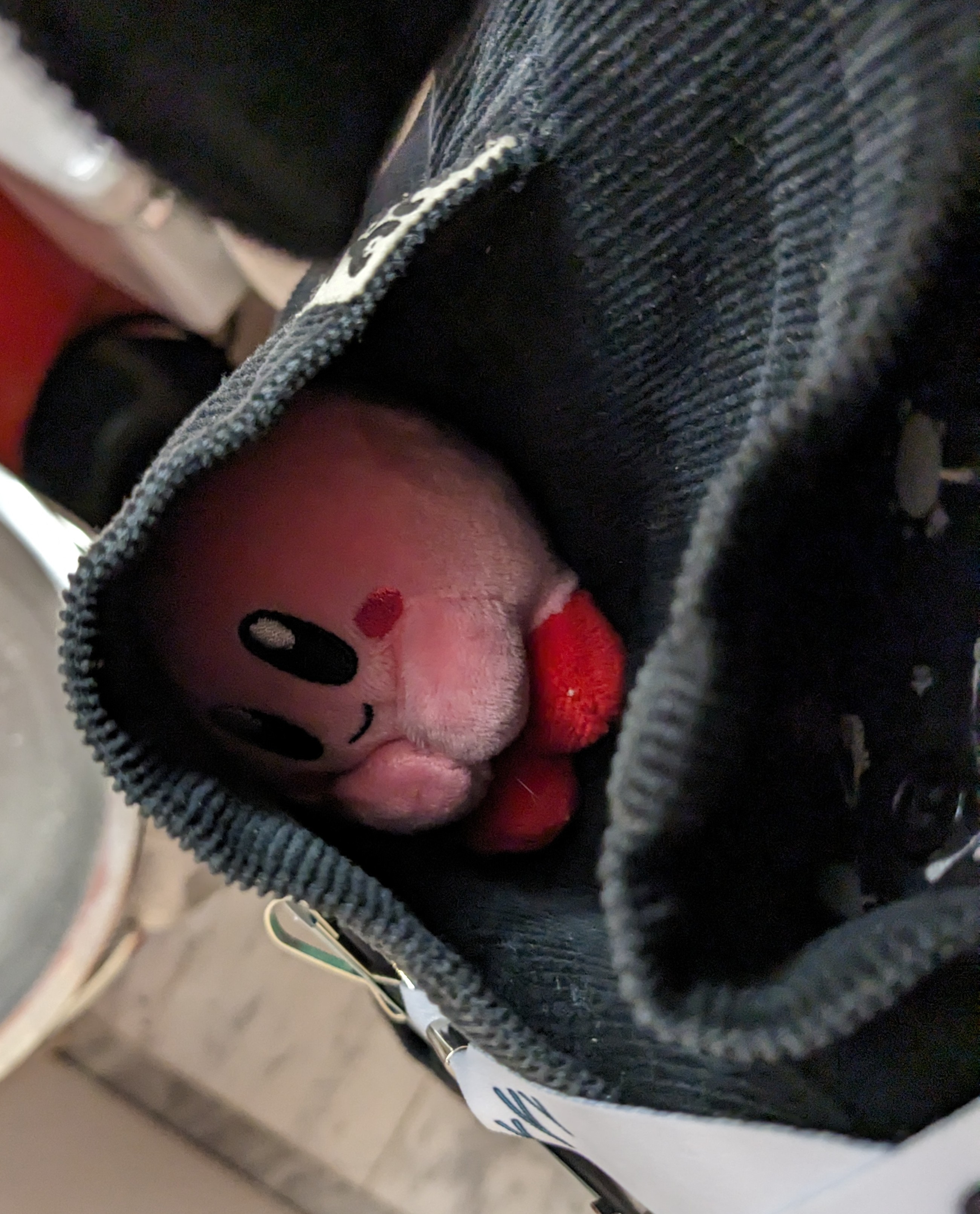 photo taken from above of the tiniest Kirby plushie, sitting in a dungaree pocket. he's looking up at the viewer, his hands holding each other